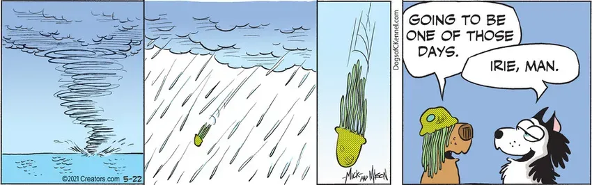 Dogs of C-Kennel for May 22, 2021