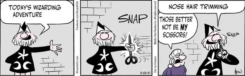 Wizard of Id for May 22, 2021