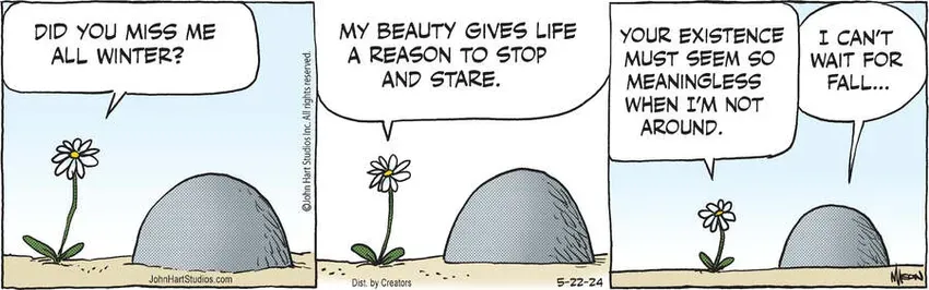 B.C. for May 22, 2024