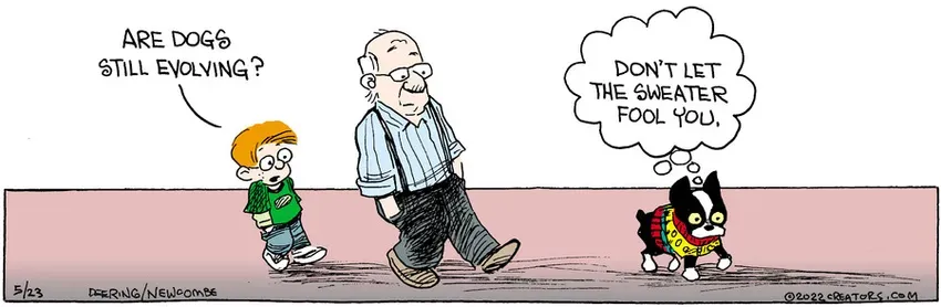 Zack Hill for May 23, 2022