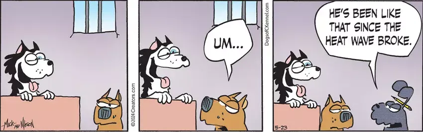Dogs of C-Kennel for May 23, 2024