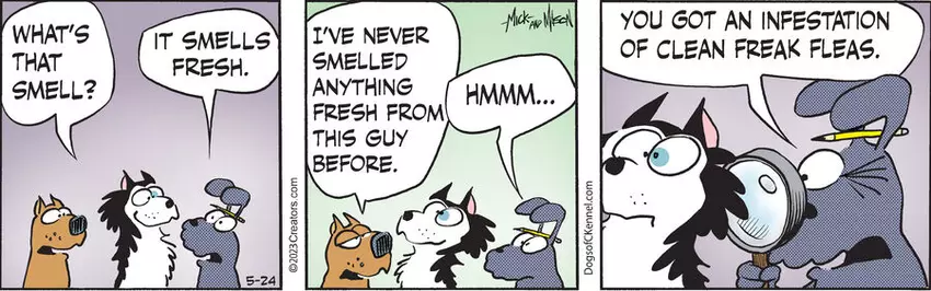 Dogs of C-Kennel for May 24, 2023