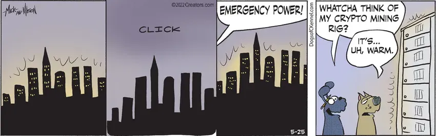 Dogs of C-Kennel for May 25, 2022