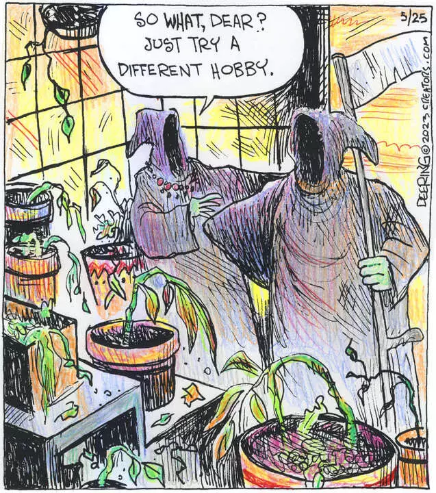 Strange Brew for May 25, 2023