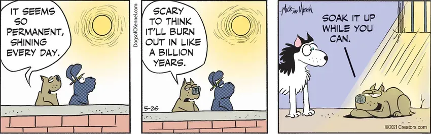 Dogs of C-Kennel for May 26, 2021