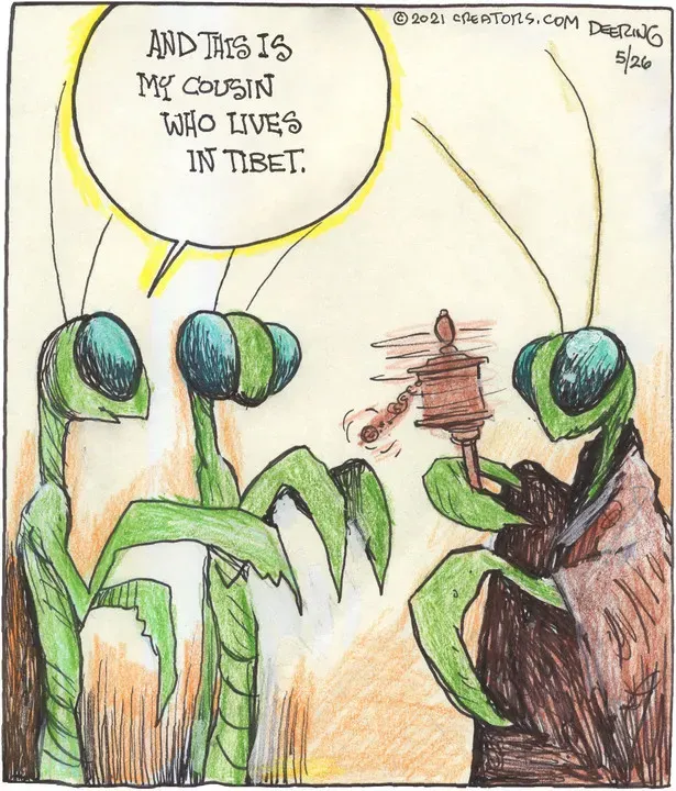 Strange Brew for May 26, 2021