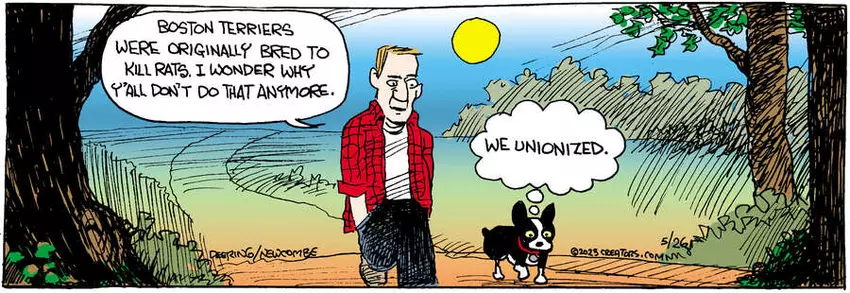 Zack Hill for May 26, 2023