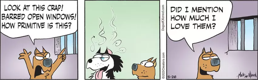 Dogs of C-Kennel for May 26, 2023