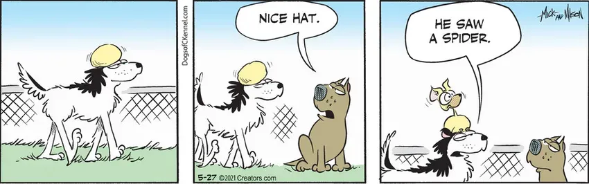 Dogs of C-Kennel for May 27, 2021
