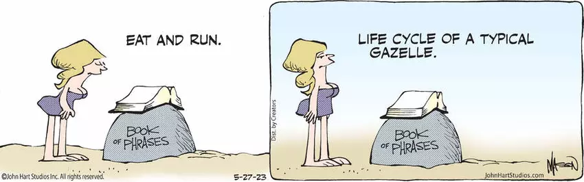 B.C. for May 27, 2023