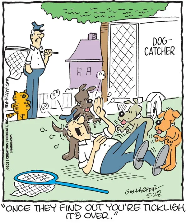 Heathcliff for May 28, 2021