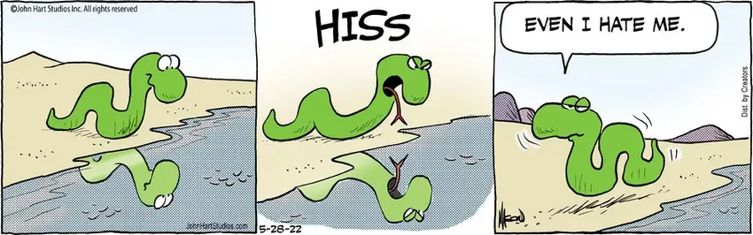 B.C. for May 28, 2022