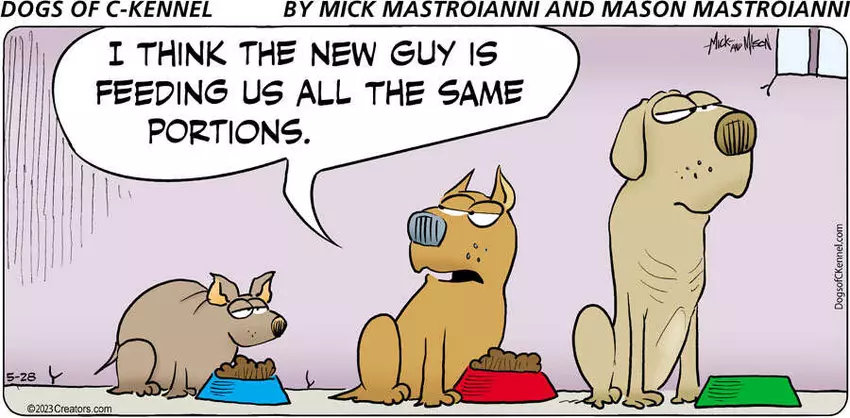 Dogs of C-Kennel for May 28, 2023
