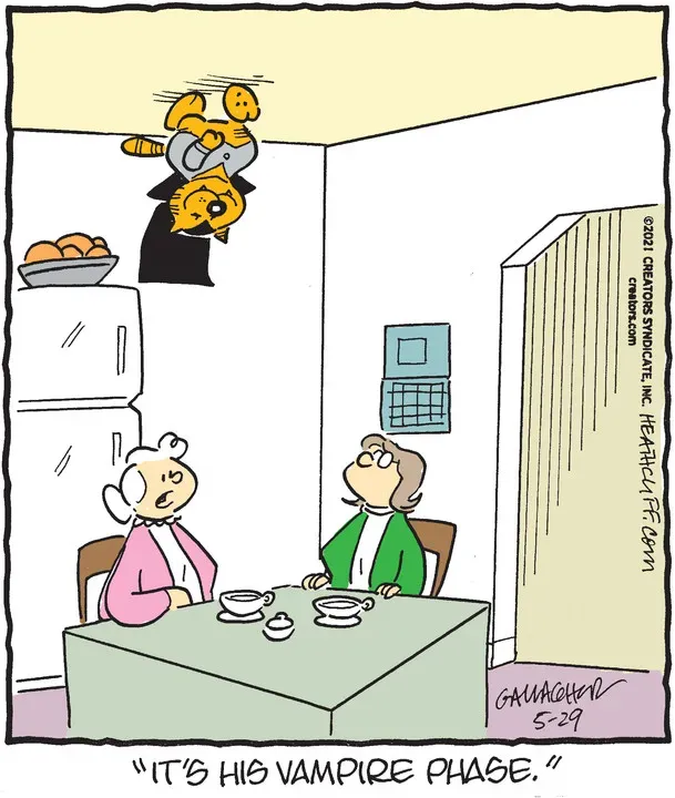 Heathcliff for May 29, 2021