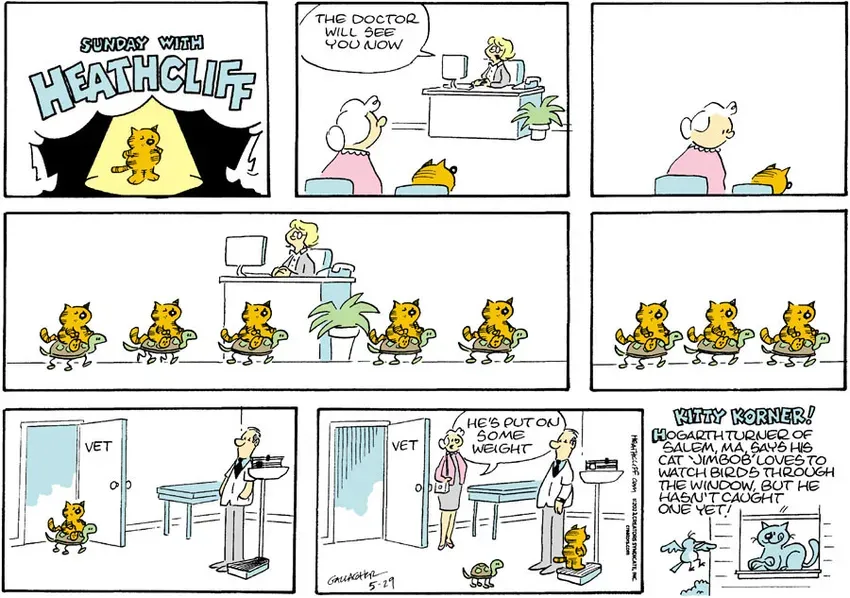 Heathcliff for May 29, 2022