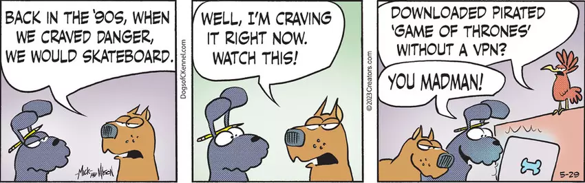 Dogs of C-Kennel for May 29, 2023
