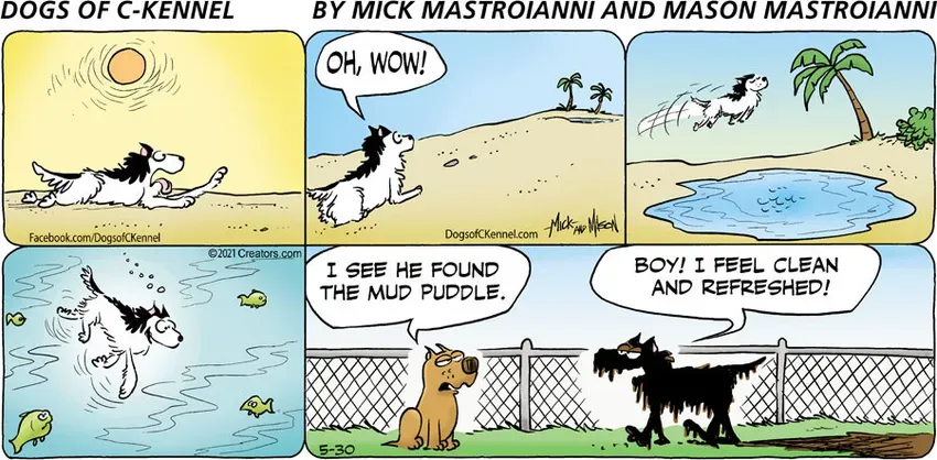 Dogs of C-Kennel for May 30, 2021