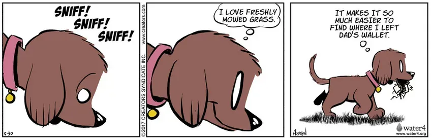 Dog Eat Doug for May 30, 2022