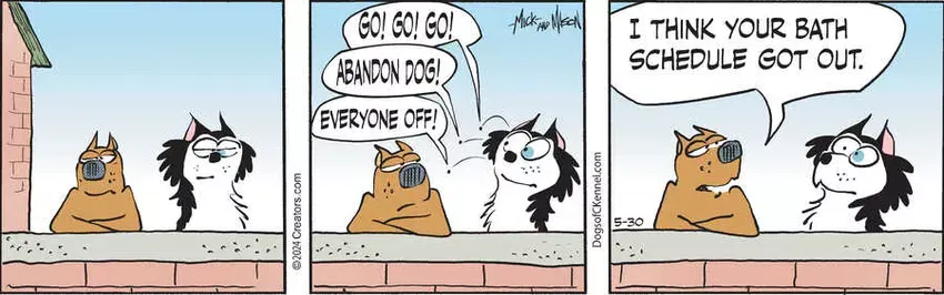 Dogs of C-Kennel for May 30, 2024