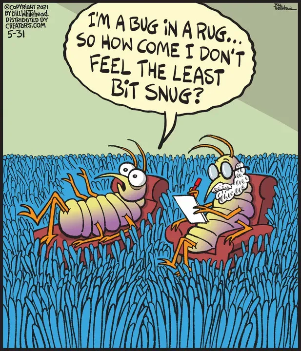 Free Range for May 31, 2021