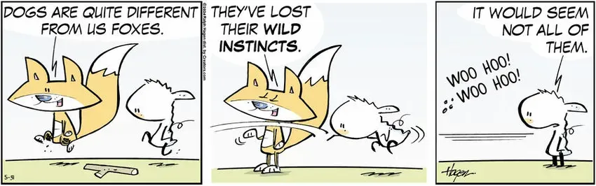 The Barn for May 31, 2024