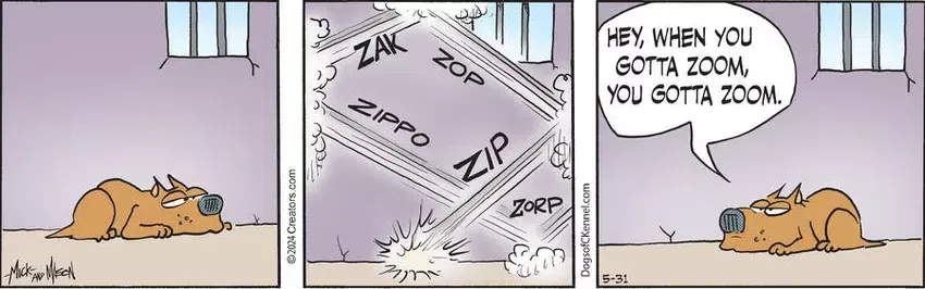 Dogs of C-Kennel for May 31, 2024