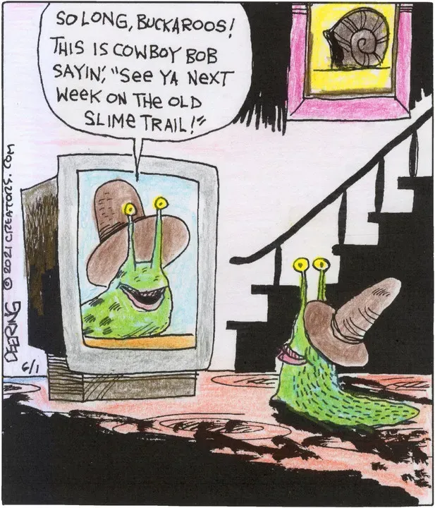 Strange Brew for Jun 01, 2021