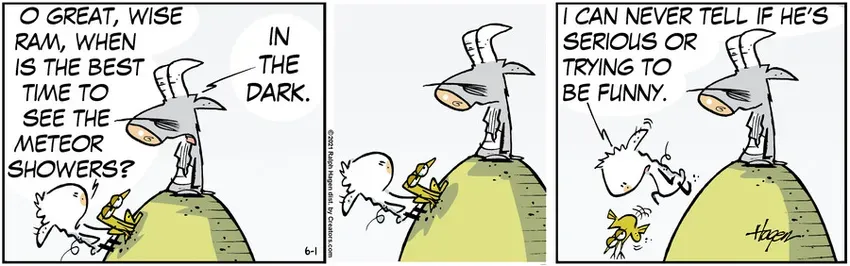 The Barn for Jun 01, 2021