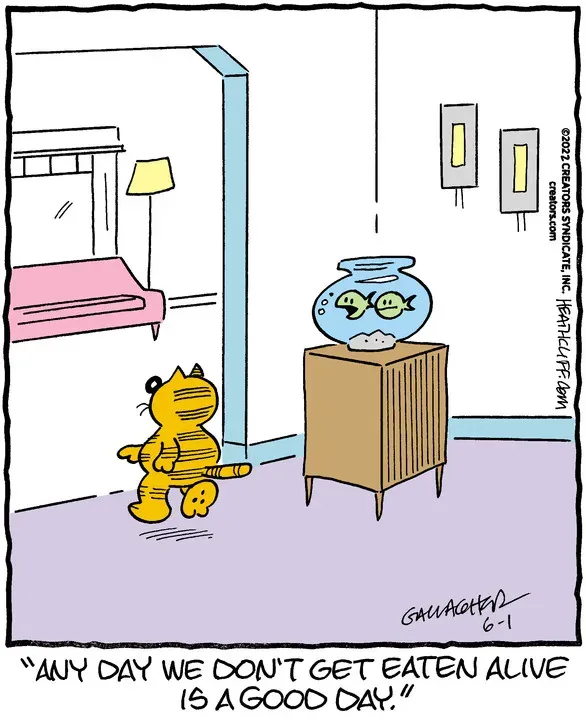 Heathcliff for Jun 01, 2022