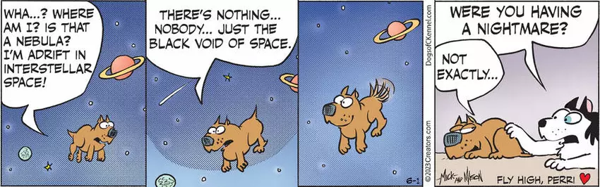 Dogs of C-Kennel for Jun 01, 2023