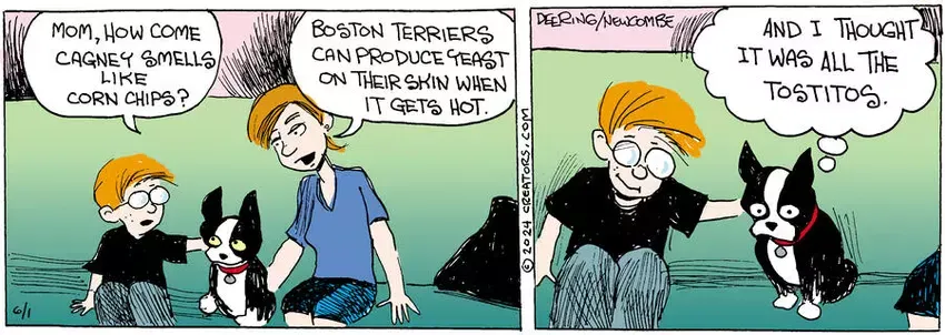 Zack Hill for Jun 01, 2024