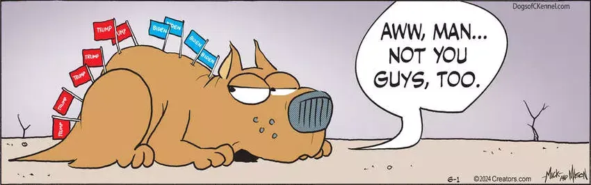 Dogs of C-Kennel for Jun 01, 2024