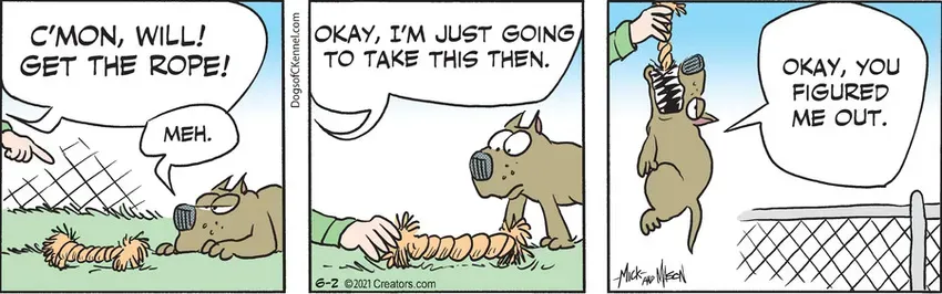 Dogs of C-Kennel for Jun 02, 2021