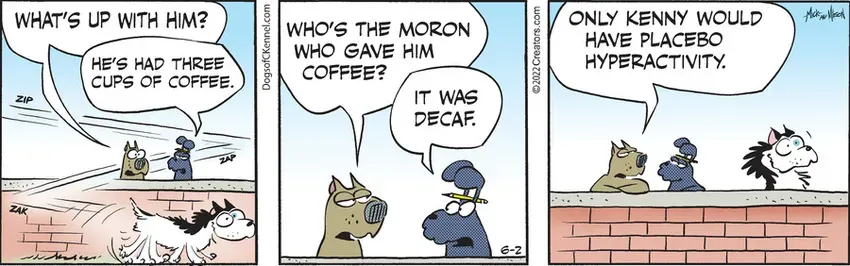 Dogs of C-Kennel for Jun 02, 2022