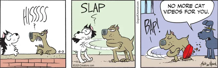 Dogs of C-Kennel for Jun 03, 2021