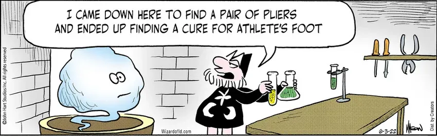 Wizard of Id for Jun 03, 2022