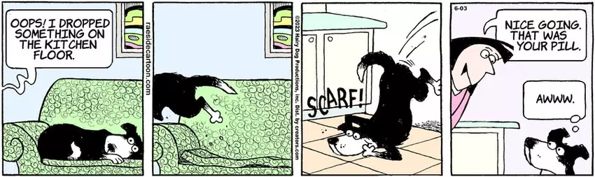 The Other Coast for Jun 03, 2023