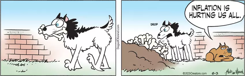 Dogs of C-Kennel for Jun 03, 2023