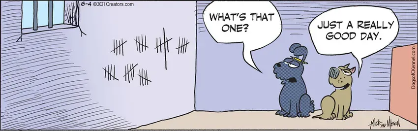 Dogs of C-Kennel for Jun 04, 2021