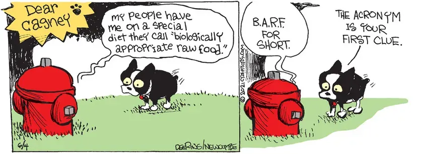 Zack Hill for Jun 04, 2021