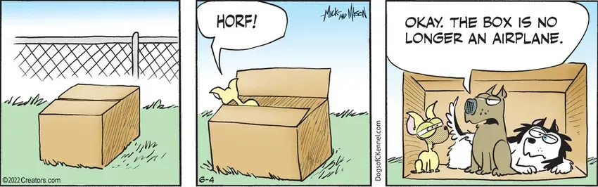 Dogs of C-Kennel for Jun 04, 2022