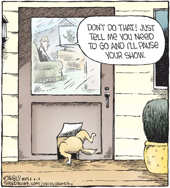 Speed Bump for Jun 04, 2024