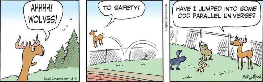 Dogs of C-Kennel for Jun 05, 2021