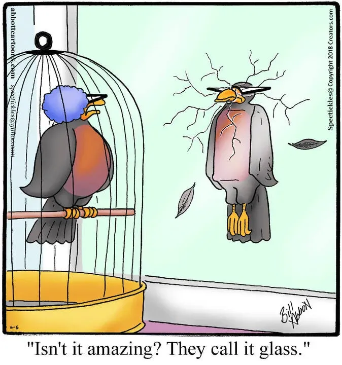 Spectickles for Jun 05, 2024