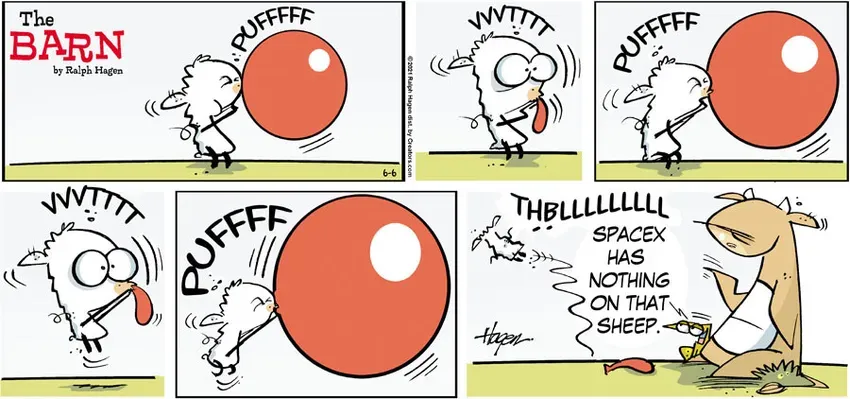 The Barn for Jun 06, 2021