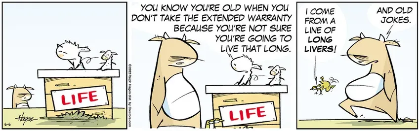 The Barn for Jun 06, 2022