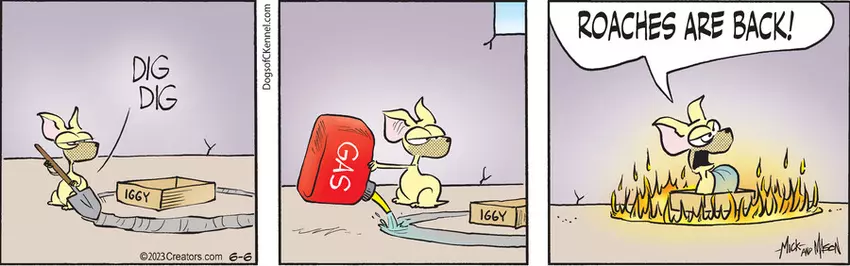 Dogs of C-Kennel for Jun 06, 2023