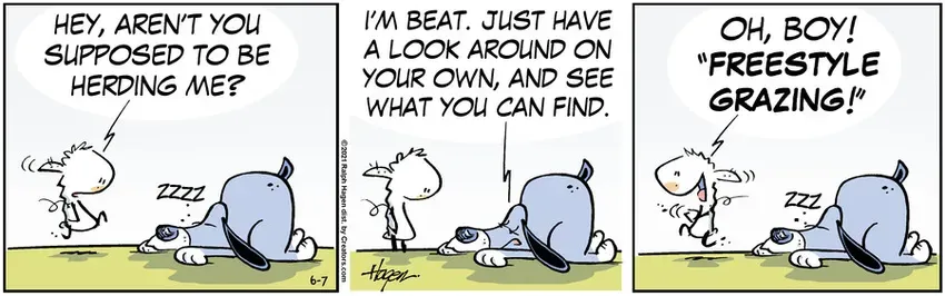 The Barn for Jun 07, 2021