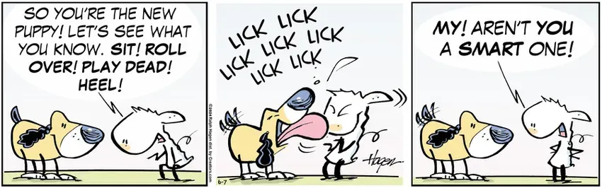 The Barn for Jun 07, 2024