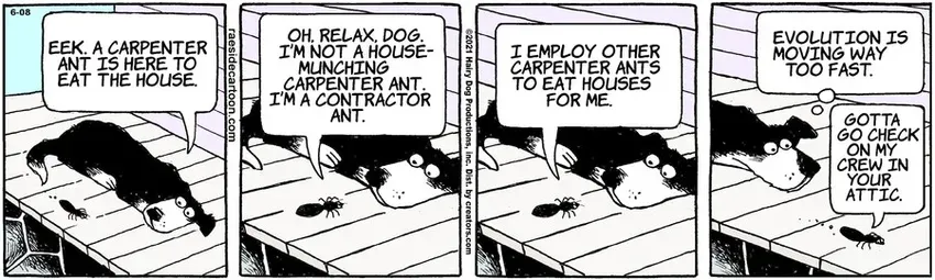 The Other Coast for Jun 08, 2021